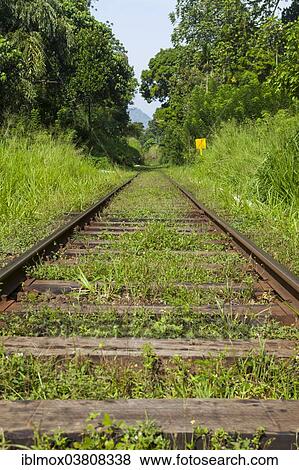 "Old train tracks, Gampola, Central Province, Sri Lanka, Asia" View Large Photo Image Stock Photo - "Old train tracks, Gampola, Central Province, Sri Lanka, Asia". Fotosearch
