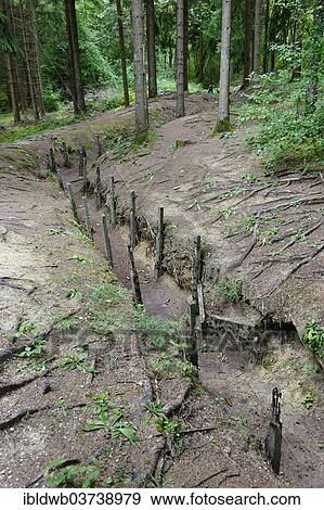 Stock Photo - "Old trenches from the First World War at Fort Douaumont, Verdun, Meuse departement, Lorraine region, France, Europe". Fotosearch