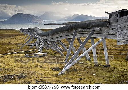 "Old water pipeline, on stilts above ground because of the permafrost, Kongsfjorden, Ny-Alesund, Spitsbergen, Svalbard Islands, Svalbard and Jan Mayen, Norway, Europe" View Large Photo Image Stock Image - "Old water pipeline, on stilts above ground because of the permafrost, Kongsfjorden, Ny-Alesund, Spitsbergen, Svalbard Islands, Svalbard and Jan Mayen, Norway, Europe". Fotosearch