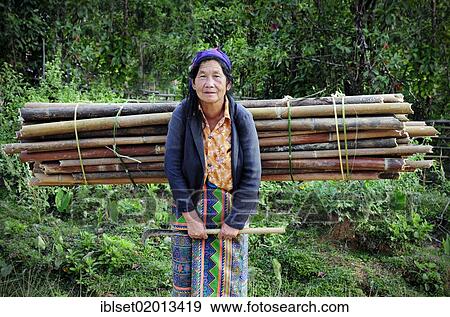 Stock Photo - "Old woman carrying bamboo on her back, Laos, Southeast Asia, Asia". Fotosearch