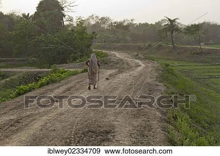 Stock Photo - "Old woman with a walking stick walking along a dirt road in the evening light, Magura, Khulna District, Bangladesh, South Asia, Asia". Fotosearch