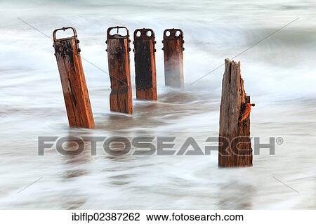 "Old wooden groynes with incoming tide at dusk, Crow Point, North Devon, England, United Kingdom, Europe" View Large Photo Image Stock Image - "Old wooden groynes with incoming tide at dusk, Crow Point, North Devon, England, United Kingdom, Europe". Fotosearch