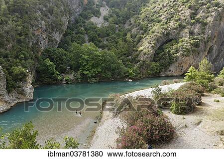 "Oleander bushes on the Alara river, Alanya, Antalya Province, Turkey, Asia" View Large Photo Image Stock Image - "Oleander bushes on the Alara river, Alanya, Antalya Province, Turkey, Asia". Fotosearch