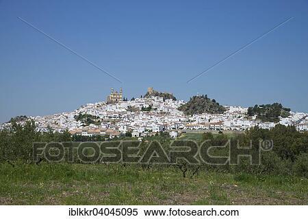 "Olvera with the Nuestra Senora de la Encarnacion church and a Moorish castle, Olvera, white villages, Andalusia, Spain, Europe" View Large Photo Image Stock Photography - "Olvera with the Nuestra Senora de la Encarnacion church and a Moorish castle, Olvera, white villages, Andalusia, Spain, Europe". Fotosearch