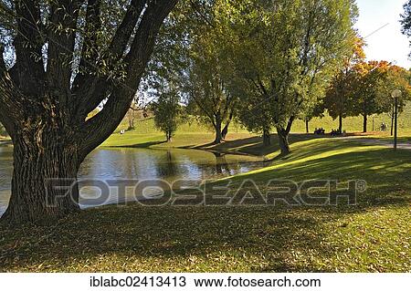 Olympiapark gardens with willows (Salix) and lake Olympiasee, Munich, Bavaria, Germany, Europe View Large Photo Image Stock Image - Olympiapark gardens with willows (Salix) and lake Olympiasee, Munich, Bavaria, Germany, Europe. Fotosearch