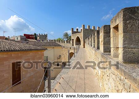 "On the city walls of Alcudia, Majorca, Balearic Islands, Spain, Europe" View Large Photo Image Picture - "On the city walls of Alcudia, Majorca, Balearic Islands, Spain, Europe". Fotosearch