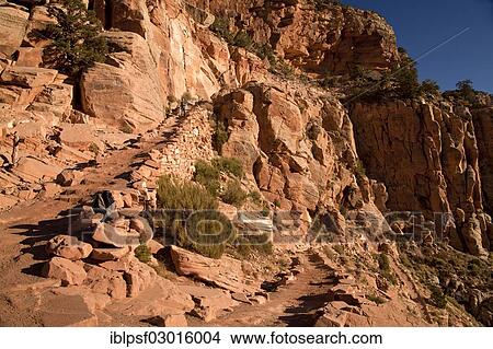 Picture - "On the South Kaibab trail through Grand Canyon National Park, Grand-Canyon-Nationalpark, Arizona, United States, North America". Fotosearch