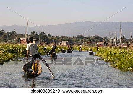 "One-legged rowers in canoes, floating garden, fields on the water, Inle Lake, Shan State, Myanmar, Asia" View Large Photo Image Stock Photo - "One-legged rowers in canoes, floating garden, fields on the water, Inle Lake, Shan State, Myanmar, Asia". Fotosearch