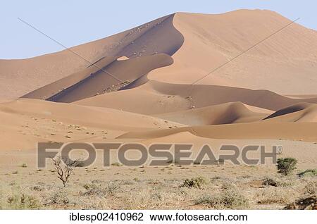 Stock Image - "One of the highest dunes in Sossusvlei, dune landscape, Sossusvlei, Namib Desert, Namib Naukluft Park, Namibia, Africa". Fotosearch