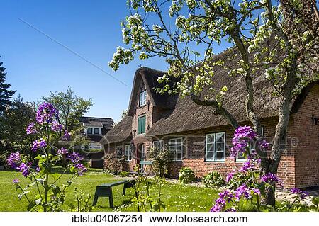 "Oomrang Hus, museum, village of Nebel, Amrum, North Frisian Islands, North Frisia, Schleswig-Holstein, Germany, Europe" View Large Photo Image Picture - "Oomrang Hus, museum, village of Nebel, Amrum, North Frisian Islands, North Frisia, Schleswig-Holstein, Germany, Europe". Fotosearch