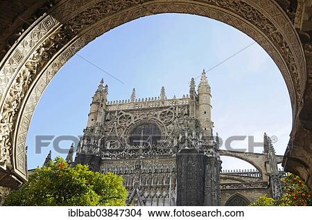 "Orangery, Seville Cathedral, Catedral de Santa Maria de la Sede, Seville, Andalusia, Spain, Europe" View Large Photo Image Picture - "Orangery, Seville Cathedral, Catedral de Santa Maria de la Sede, Seville, Andalusia, Spain, Europe". Fotosearch