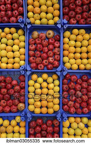 Stock Photography - "Oranges and pomegranates in crates, Eminonu, Istanbul, European side, Istanbul Province, Turkey, European side, Europe". Fotosearch