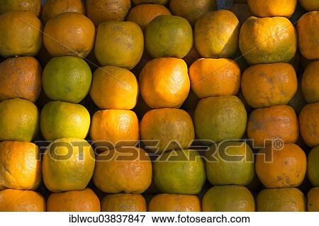 Oranges at a market stall View Large Photo Image Stock Photo - Oranges at a market stall. Fotosearch