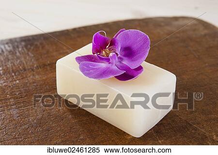 Orchid flower lying on a bar of soap View Large Photo Image Stock Photography - Orchid flower lying on a bar of soap. Fotosearch