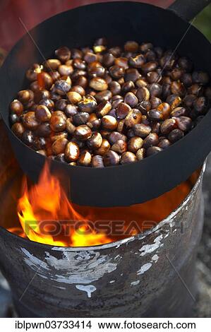 Picture - Organic chestnuts being roasted. Fotosearch