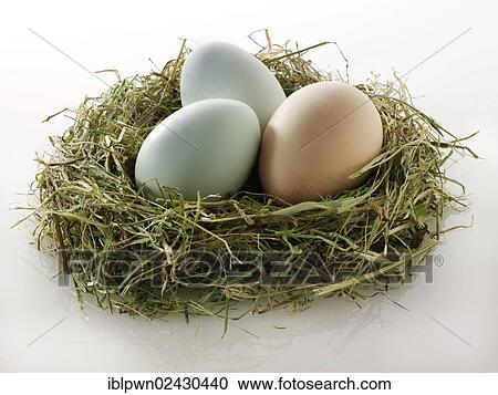 Stock Image - "Organic eggs from free range chicken eggs, Cotswold Lowerable". Fotosearch