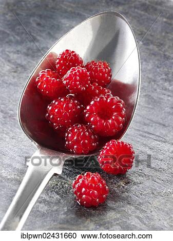 "Organic fruit, grapes or Japanese Rotborstige raspberries (Rubus phoenicolasius), on a spoon" View Large Photo Image Stock Image - "Organic fruit, grapes or Japanese Rotborstige raspberries (Rubus phoenicolasius), on a spoon". Fotosearch