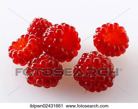 Stock Image - "Organic fruit, grapes or Japanese Rotborstige raspberries (Rubus phoenicolasius)". Fotosearch