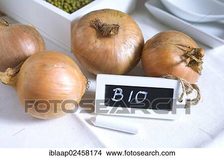 "Organic onions, with chalk tablets """"bio"""", German for """"organic""""" View Large Photo Image Picture - "Organic onions, with chalk tablets """"bio"""", German for """"organic""""". Fotosearch