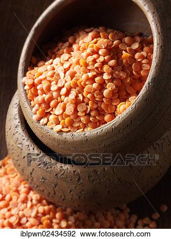 Organic orange lentils View Large Photo Image Stock Image - Organic orange lentils. Fotosearch