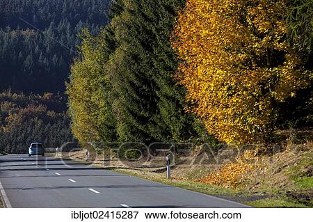 Orketalstrasse road, a country road between Winterberg and Elkeringhausen with trees in autumn colours, Winterberg, Sauerland, North Rhine-Westphalia, Germany, Europe View Large Photo Image Stock Photo - Orketalstrasse road, a country road between Winterberg and Elkeringhausen with trees in autumn colours, Winterberg, Sauerland, North Rhine-Westphalia, Germany, Europe. Fotosearch