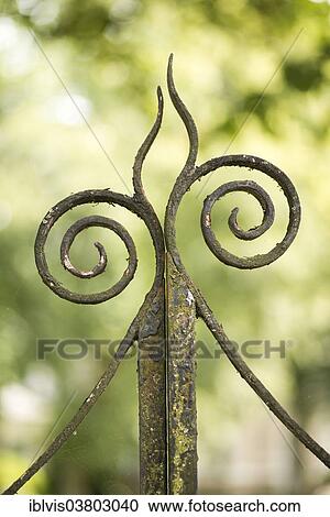 Ornament on old metal gate View Large Photo Image Stock Image - Ornament on old metal gate. Fotosearch