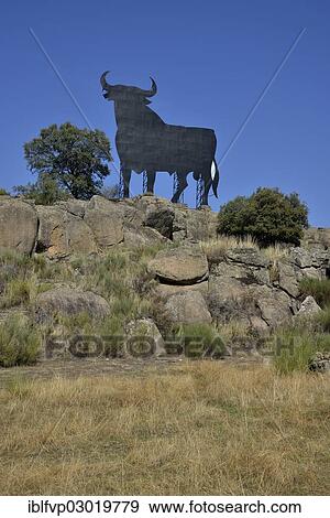 "Osborne bull, Toro de Osborne, bei Trujillo, Provinz Caceres, Extremadura, Spain, Europe" View Large Photo Image Stock Photo - "Osborne bull, Toro de Osborne, bei Trujillo, Provinz Caceres, Extremadura, Spain, Europe". Fotosearch