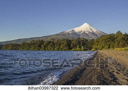 "Osorno volcano and the shore of the bay of Lake Llanquihue, Puerto Varas, Los Lagos Region, Chile, South America" View Large Photo Image Stock Image - "Osorno volcano and the shore of the bay of Lake Llanquihue, Puerto Varas, Los Lagos Region, Chile, South America". Fotosearch