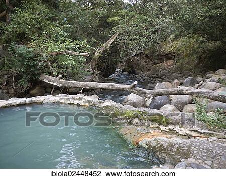"Outdoor pool with hot thermal water, Las Pailas, Ricon de la Vieja National Park, Guanacaste province, Costa Rica, Central America, North America" View Large Photo Image Stock Image - "Outdoor pool with hot thermal water, Las Pailas, Ricon de la Vieja National Park, Guanacaste province, Costa Rica, Central America, North America". Fotosearch