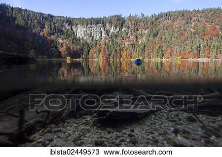 Stock Image - "Over-under shot of Lake Feldsee in the Black Forest, Baden-Wurttemberg, Germany, Europe". Fotosearch