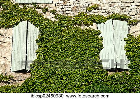 "Overgrown facade of a house with shutters closed, Sault, Vaucluse, Provence, France, Europe" View Large Photo Image Stock Image - "Overgrown facade of a house with shutters closed, Sault, Vaucluse, Provence, France, Europe". Fotosearch