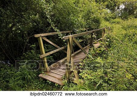 "Overgrown footpath bridge across stream, United Kingdom, Europe" View Large Photo Image Stock Image - "Overgrown footpath bridge across stream, United Kingdom, Europe". Fotosearch