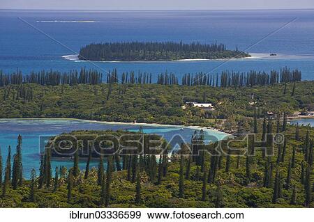 "Overlooking the Ile des Pins, Ile des Pins, New Caledonia, France, Oceania" View Large Photo Image Stock Photo - "Overlooking the Ile des Pins, Ile des Pins, New Caledonia, France, Oceania". Fotosearch