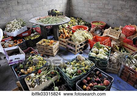 "Overripe fruit and vegetables, donation from market traders to a Christian shelter for illegal immigrants from Latin America, Ixtepec, Oaxaca, Mexico, North America" View Large Photo Image Picture - "Overripe fruit and vegetables, donation from market traders to a Christian shelter for illegal immigrants from Latin America, Ixtepec, Oaxaca, Mexico, North America". Fotosearch