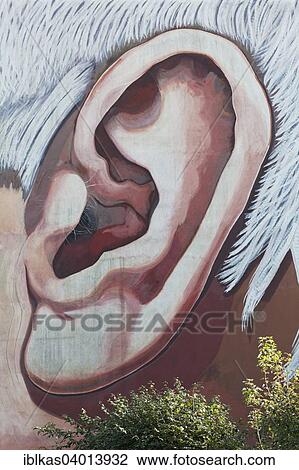 "Oversized human ear, mural on a house wall, street art, Dusseldorf, North Rhine-Westphalia, Germany, Europe" View Large Photo Image Stock Image - "Oversized human ear, mural on a house wall, street art, Dusseldorf, North Rhine-Westphalia, Germany, Europe". Fotosearch