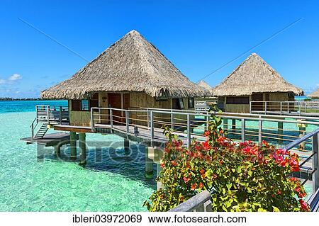 "Overwater bungalows, Bora Bora, French Polynesia, Oceania" View Large Photo Image Stock Photo - "Overwater bungalows, Bora Bora, French Polynesia, Oceania". Fotosearch
