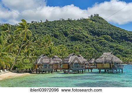 "Overwater bungalows in the lagoon, Bora Bora, French Polynesia, Oceania" View Large Photo Image Stock Photograph - "Overwater bungalows in the lagoon, Bora Bora, French Polynesia, Oceania". Fotosearch