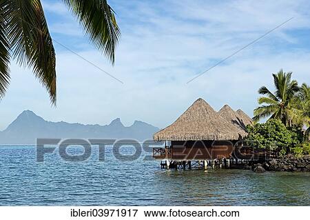 "Overwater bungalows, Moorea, French Polynesia, Oceania" View Large Photo Image Stock Photo - "Overwater bungalows, Moorea, French Polynesia, Oceania". Fotosearch