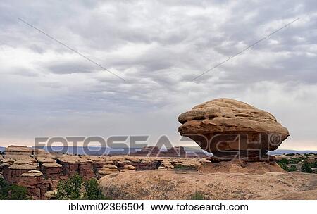Picture - "Oyster Rock rock formation, The Needles District, Canyonlands National Park, Utah, United States of America, USA". Fotosearch