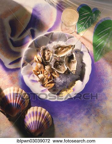 Oysters on ice View Large Photo Image Stock Image - Oysters on ice. Fotosearch
