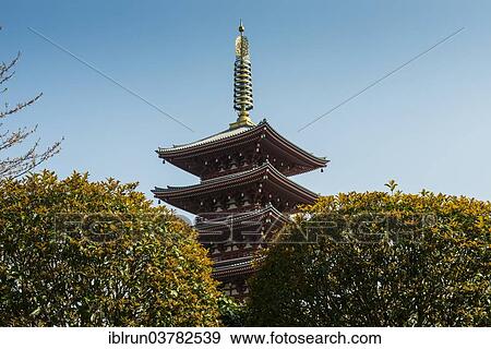 "Pagoda in the SensÅ-ji temple, Asakusa, Tokyo, Japan, Asia" View Large Photo Image Stock Photo - "Pagoda in the SensÅ-ji temple, Asakusa, Tokyo, Japan, Asia". Fotosearch