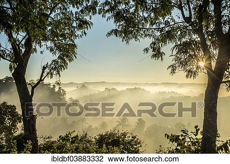 Stock Image - "Pagoda surrounded by trees, in the mist, at sunrise, Mrauk U, Sittwe District, Rakhine State, Myanmar, Asia". Fotosearch