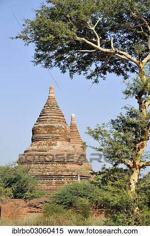 "Pagodas in Bagan Pagoda Field, Bagan, Myanmar, Burma, Asia" View Large Photo Image Stock Photography - "Pagodas in Bagan Pagoda Field, Bagan, Myanmar, Burma, Asia". Fotosearch