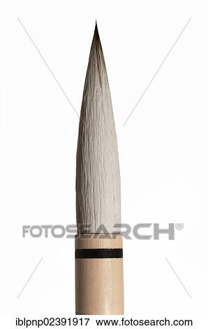 "Paintbrush, close-up" View Large Photo Image Stock Photo - "Paintbrush, close-up". Fotosearch