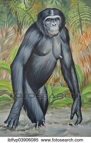 "Painted bonobo, sign at the entrance to the Lola ya Bonobo Sanctuary, Kimwenza, Mont Ngafula, Kinshasa, Democratic Republic of the Congo" View Large Photo Image Stock Photography - "Painted bonobo, sign at the entrance to the Lola ya Bonobo Sanctuary, Kimwenza, Mont Ngafula, Kinshasa, Democratic Republic of the Congo". Fotosearch