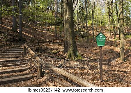 "Painters' Path, Nationalpark Sachsische Schweit, Rathewalde, Saxony, Germany, Europe" View Large Photo Image Stock Image - "Painters' Path, Nationalpark Sachsische Schweit, Rathewalde, Saxony, Germany, Europe". Fotosearch