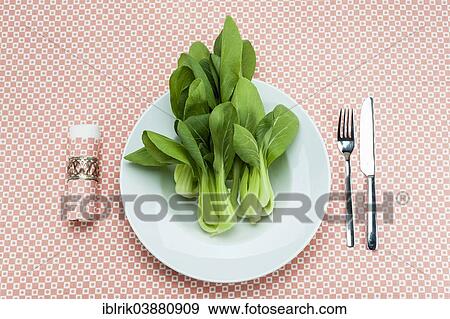 Pak Choi on a plate View Large Photo Image Stock Photo - Pak Choi on a plate. Fotosearch
