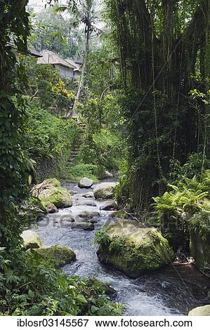 Stock Photo - "Pakrisan River flowing through the jungle of Gunung Kawi, Gunung Kawi, Tampaksiring, Bali, Indonesia, Asia". Fotosearch