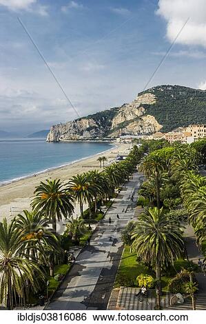 Stock Photograph - "Palm avenue, beach promenade, Finale Ligure, Province of Savona, Liguria, Italy, Europe". Fotosearch