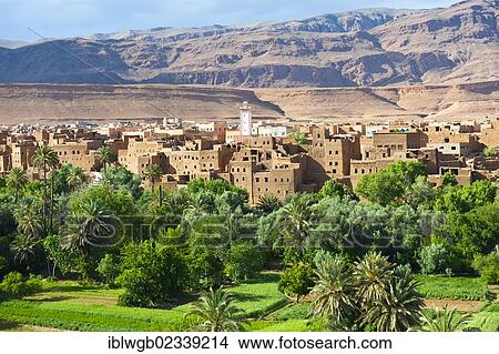 "Palm grove, date palms (Phoenix), small fields and a village of mud-walled houses, mosque, Tinghir, High Atlas, Morocco, Africa" View Large Photo Image Picture - "Palm grove, date palms (Phoenix), small fields and a village of mud-walled houses, mosque, Tinghir, High Atlas, Morocco, Africa". Fotosearch